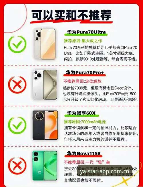 亚星平台官网使用避坑指南：行家才知道的5个正确打开方式
